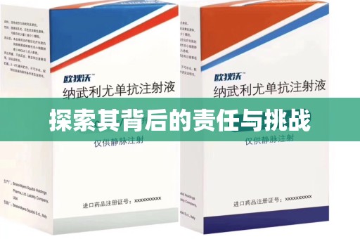 西安探索其背后的责任与挑战